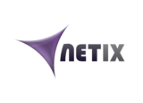 Logo Netix For Light Background